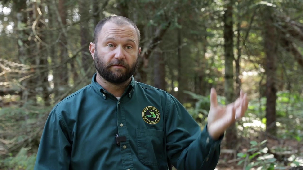 Hydrology & Forested Lands
