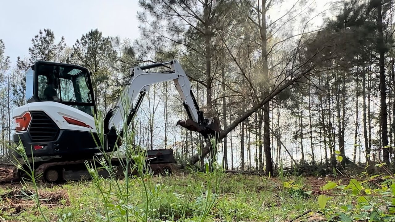 Ripping Down Small Pines with Bobcat E42