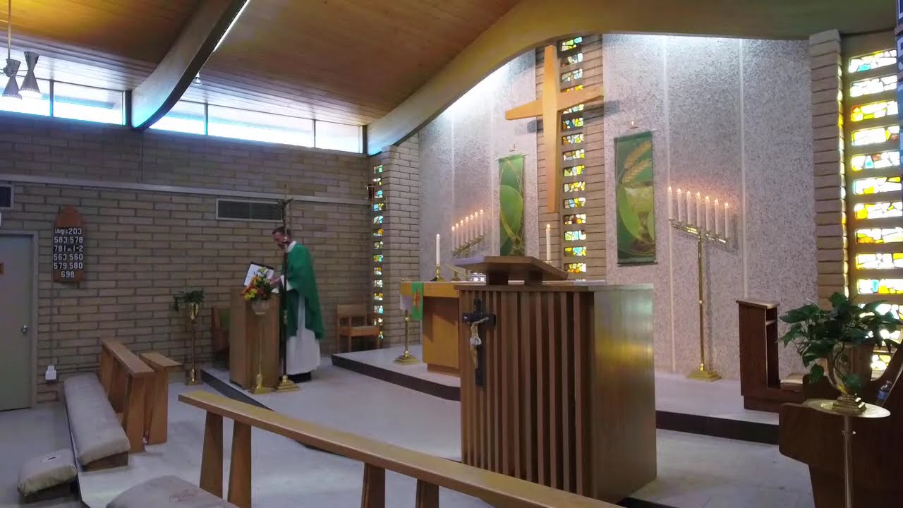 February 8, 2026 (Fifth Sunday after the Epiphany)