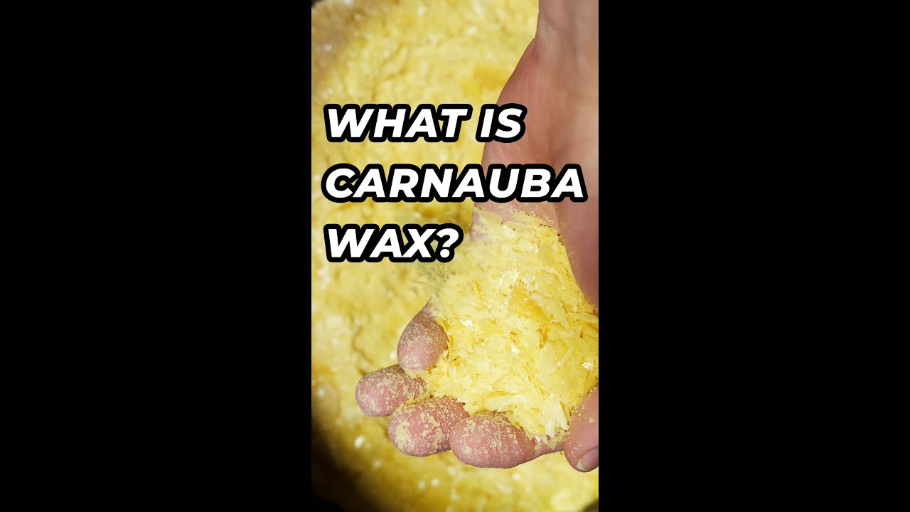 What is Carnauba Wax? 