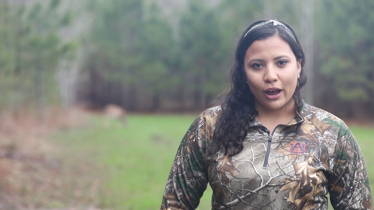 Auburn University Deer Lab TGD