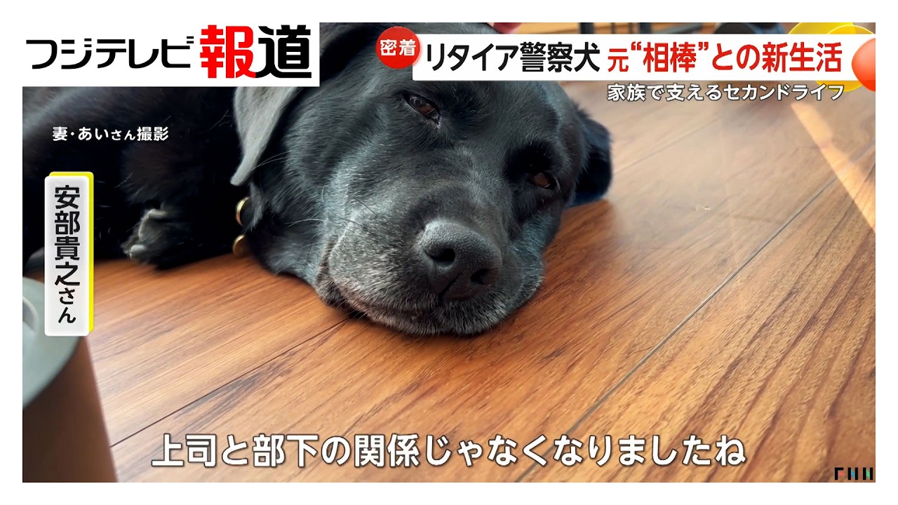 犯人検挙に活躍した警察犬「オト」のセカンドライフ　かつての“相棒”と新生活