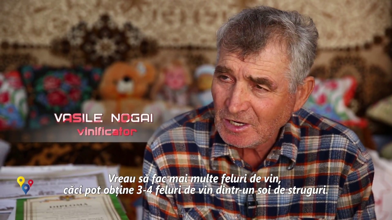 MOLDOVA+  Secretele vinului de casă