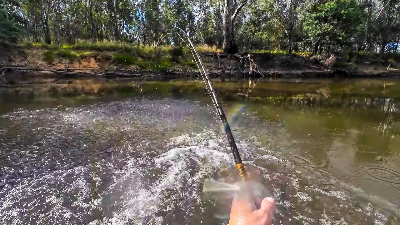 A Fish Pulled My Fishing Rod Into The Water And I Jumped In After It