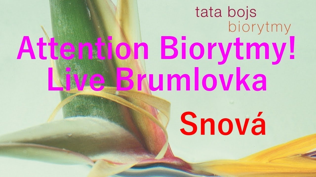 Tata Bojs - Snov&aacute; (Attention Biorytmy! Live Brumlovka 14. 11. 2002 - ofici&aacute;ln&iacute; video)