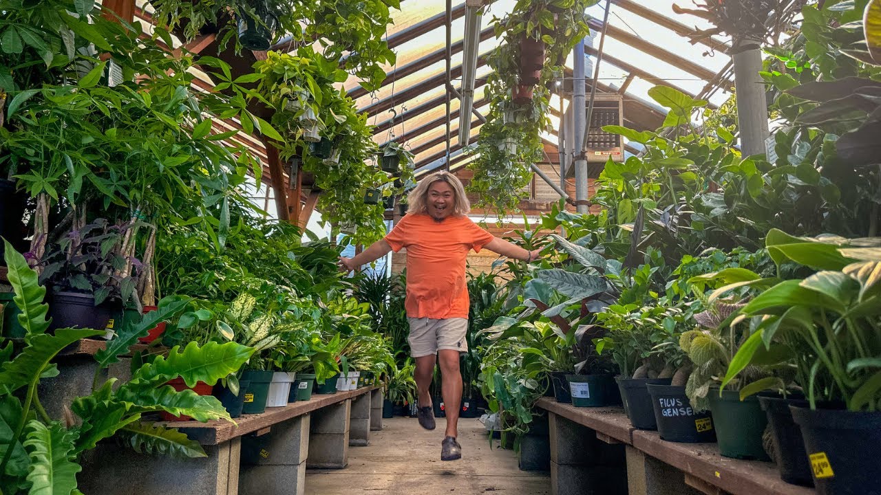 22 Minutes of Pure Houseplant Shopping Pleasure