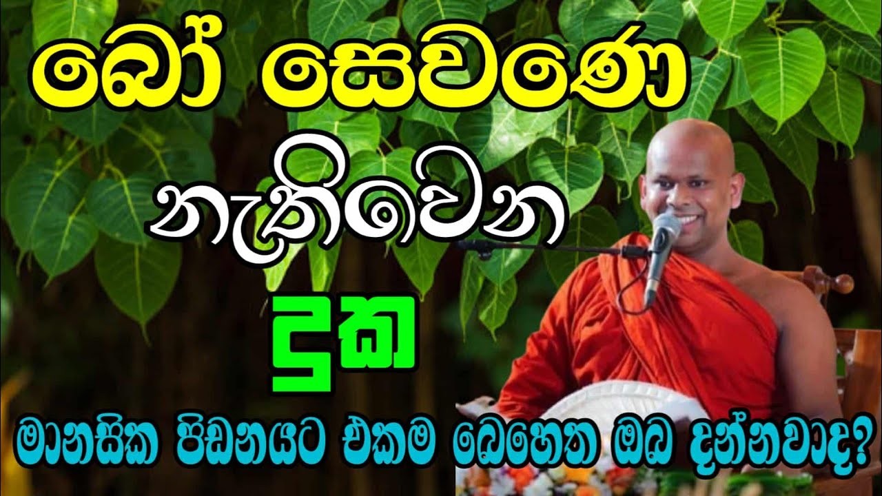 බෝ සෙවණෙ නැතිවෙන දුක | මානසික පිඩනයට එකම විසදුම | welimada saddhaseela thero | සද්දාසිල හිමි🙏💐🙏