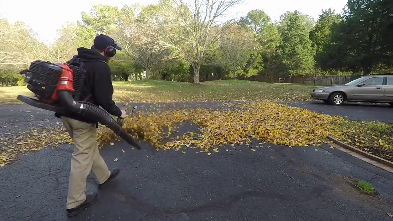 2017 Fall Cleanup with Echo PB500T and Makita 4-Stroke