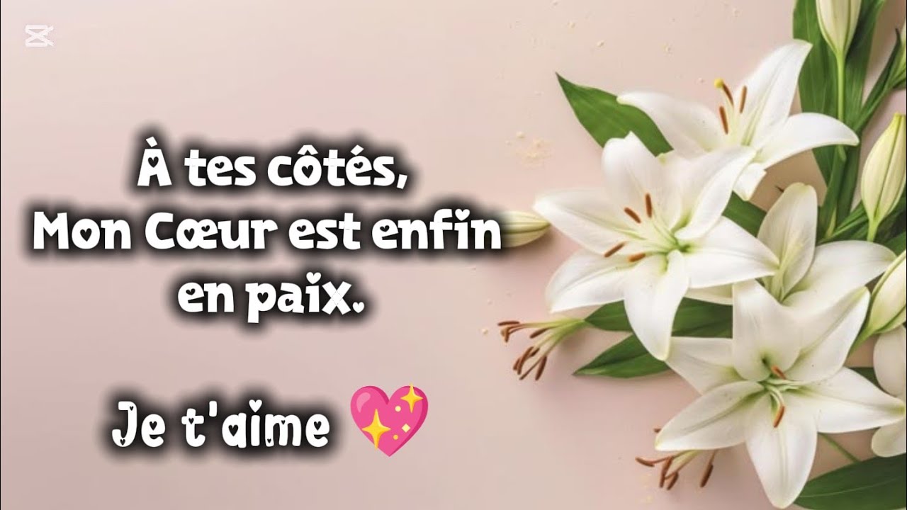 Je t'aime 💖 &eacute;coute ce romantique message d'amour 💌