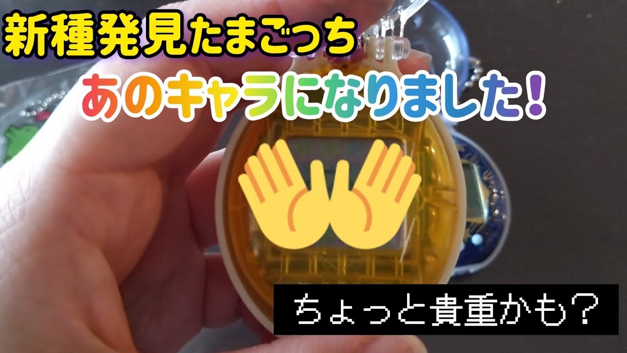 【たまごっち動画】オリたまと新種発見たまごっち、アダルトっちになりました！