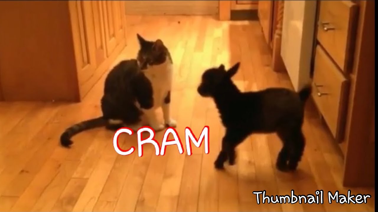 Tony baker CRAM FEST. Like and subscribe for more video leave a comment below