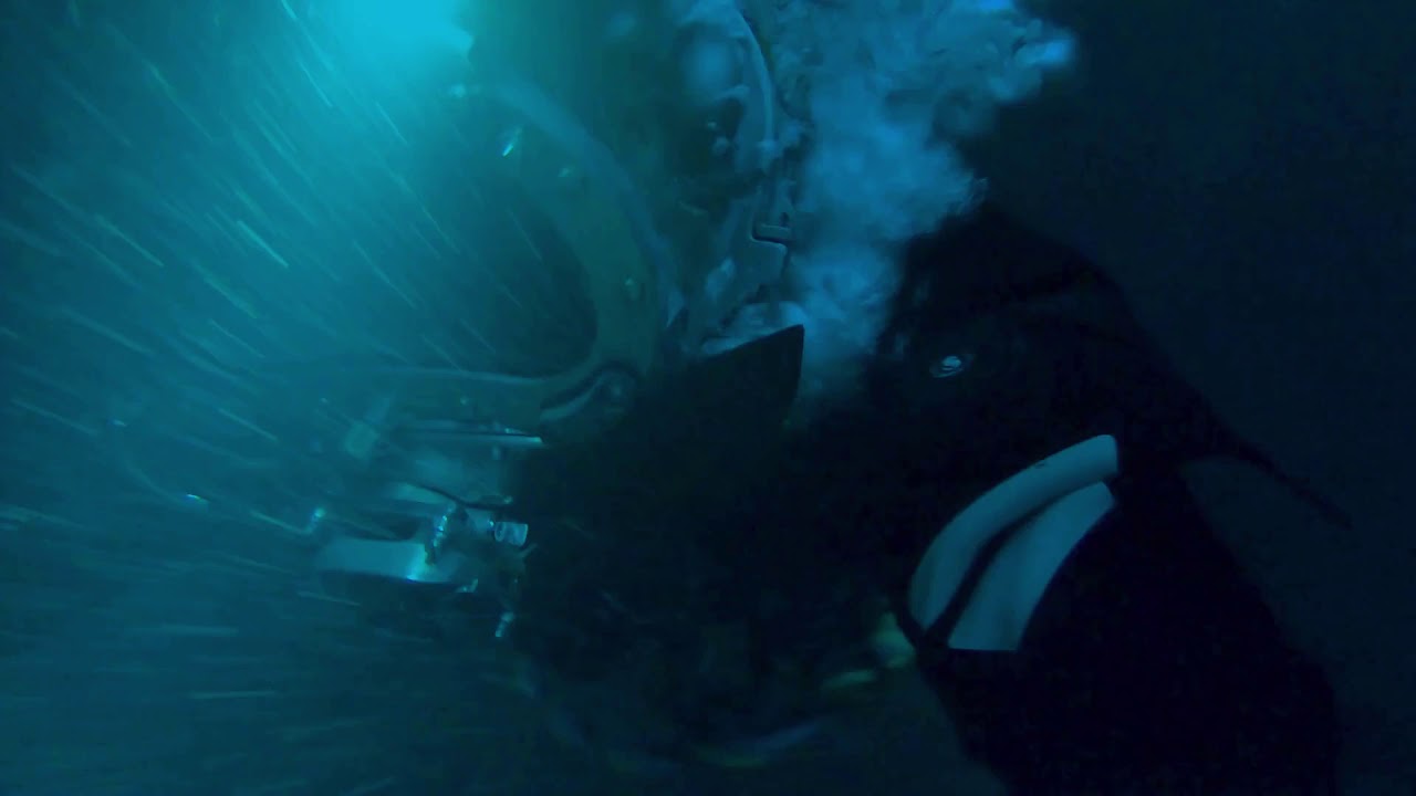 50m Dive, Kirby Morgan 37 SS