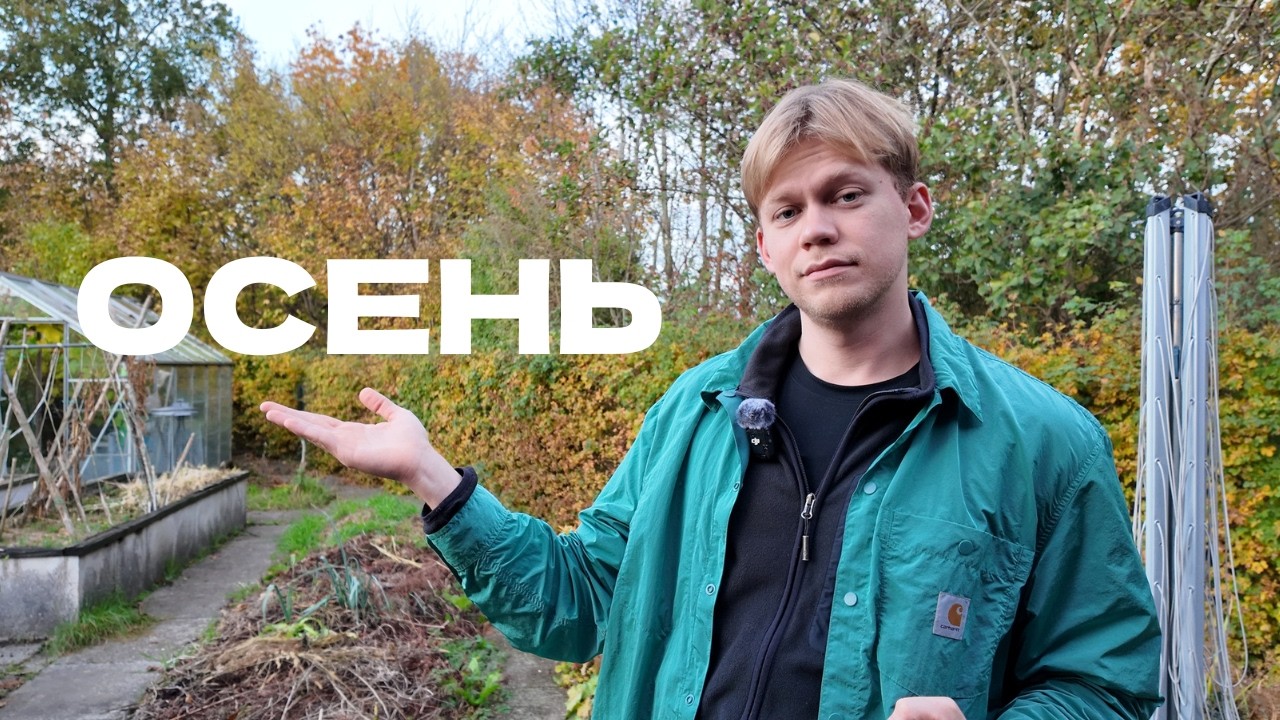 Сравниваю датскую осень с русской 🇩🇰 ⚔️ 🇷🇺