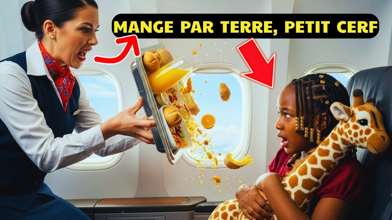 Une hôtesse renverse de la nourriture sur une fille noire, le père milliardaire cloue l’avion au sol