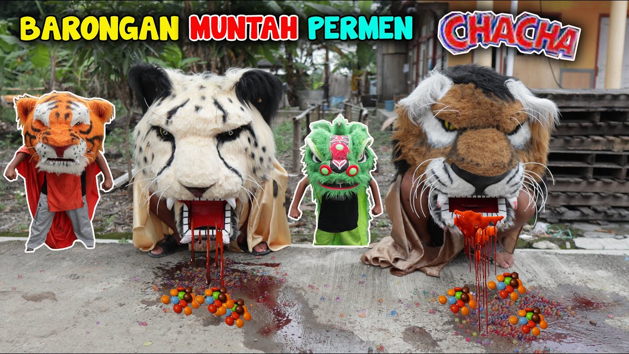 BARONGAN SINGO MLETRE DAN CHEETAH MUNTAH PERMEN CHACHA