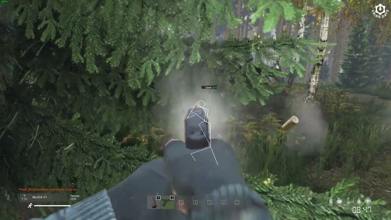 Lag Switch Лагсвич #dayz