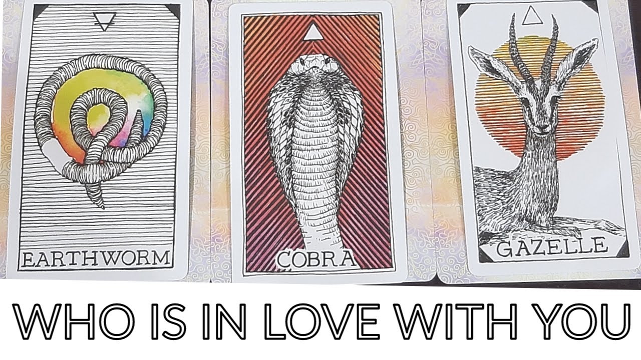 PICK A CARD 🔮 WHO IS IN LOVE WITH YOU 😍 WHO HAS FEELINGS FOR U 👀 WILL THEY CONFESS 🤔 TIMELESS