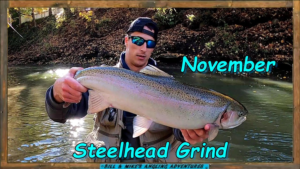 November Steelhead Grind - 2 creeks  4 landed