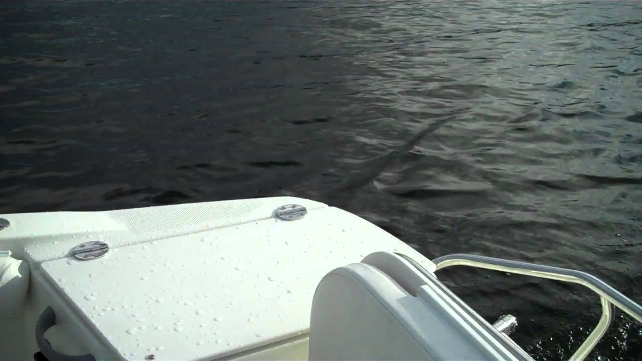Seatrial on a 2008 Trophy Pro 1952 WA