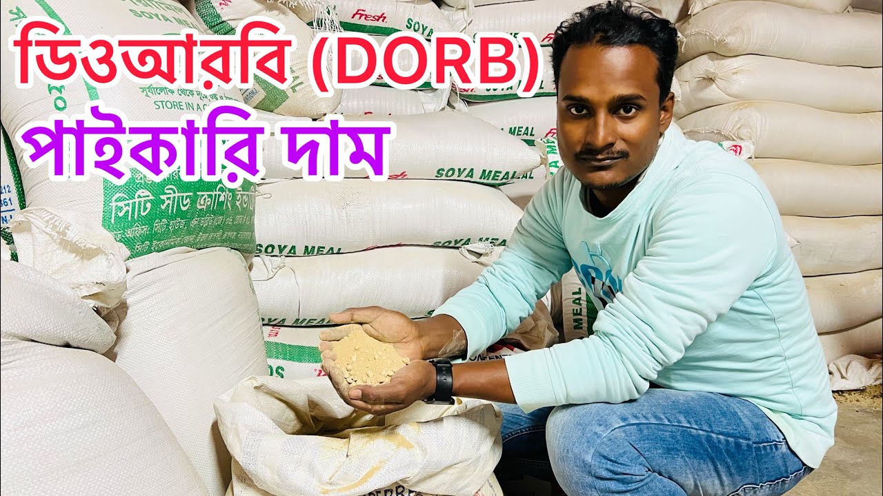 ডিওআরবি (DORB) গবাদিপশুকে খাওয়ানোর উপকারিতা ও পাইকারি দাম