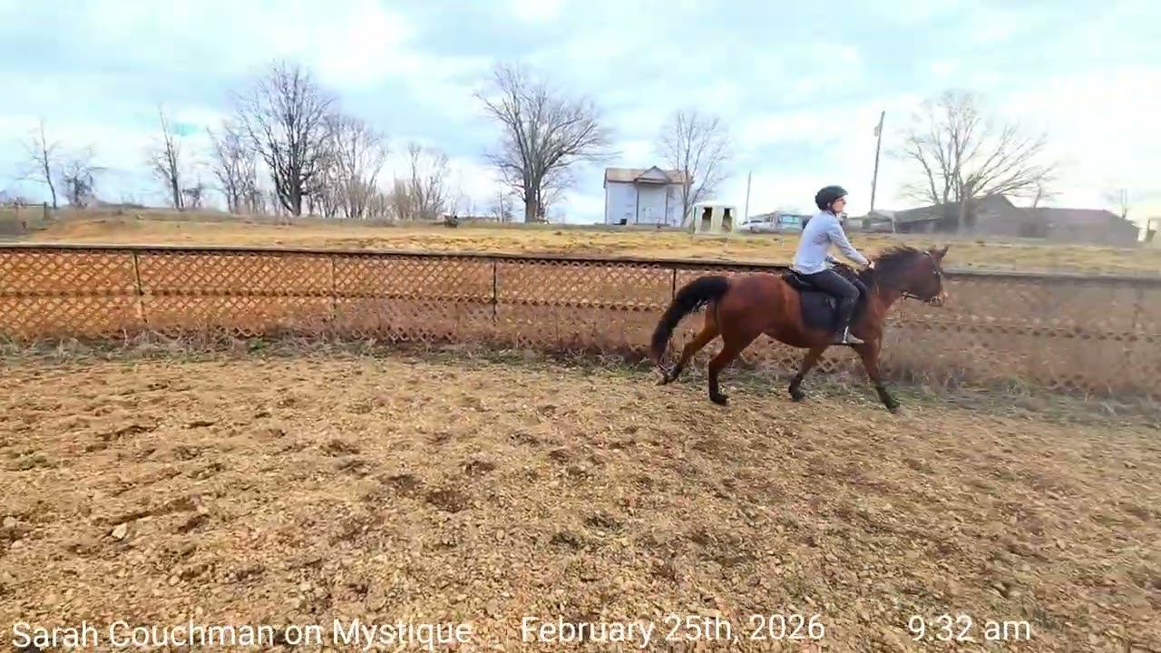 Patternpalooza February 2026 - Freestyle Over Fences