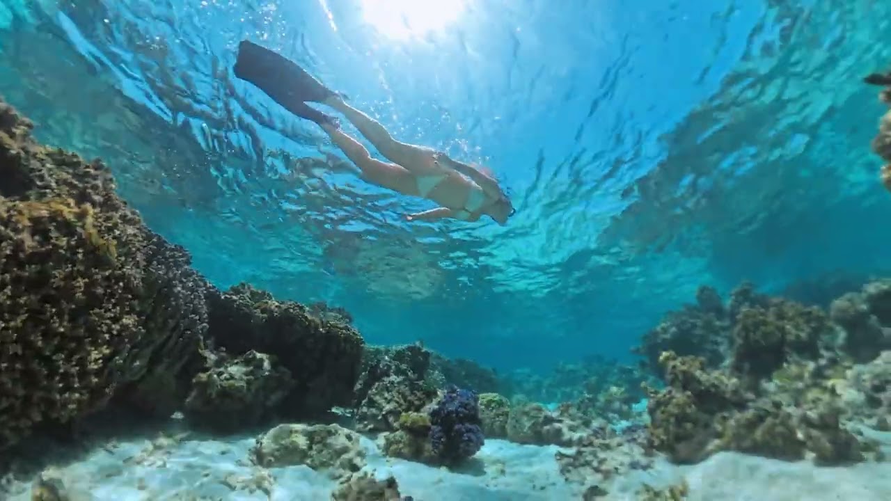 Journée autour des motus de Moorea