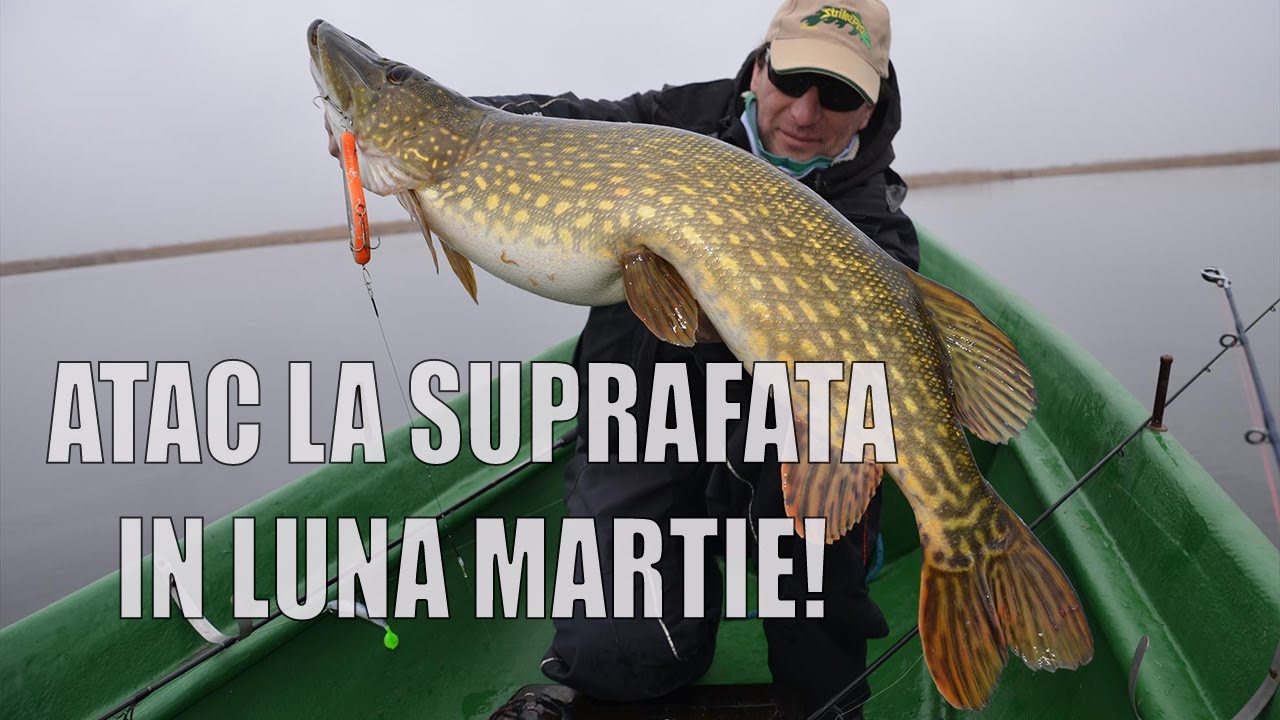 Pescuit la stiuca primavara pe Holbina Trei Bibani!