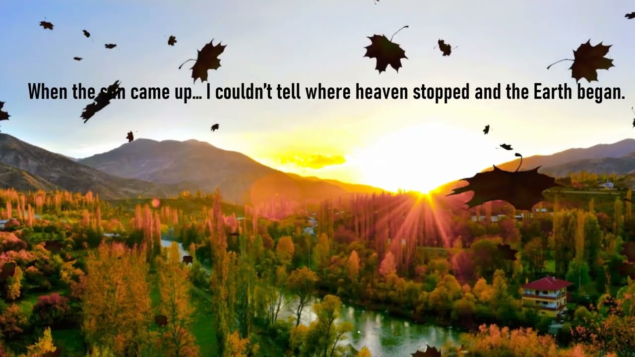 Good Morning inspirational status 🌸 Quotes and greetings 🔆 Whatsapp Status😍