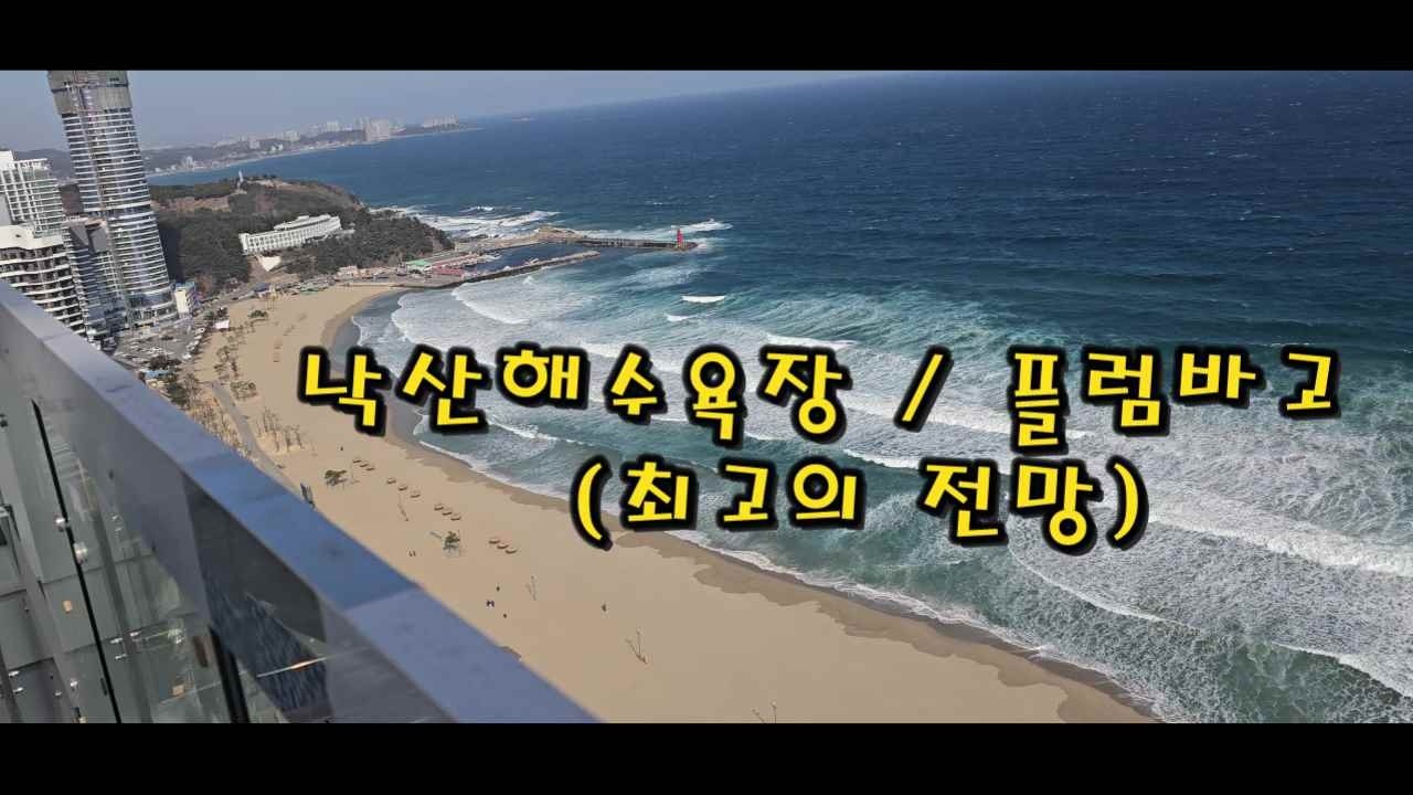 플럼바고#양양#낙산해수욕장# 사전입주 점검#2026년 2월