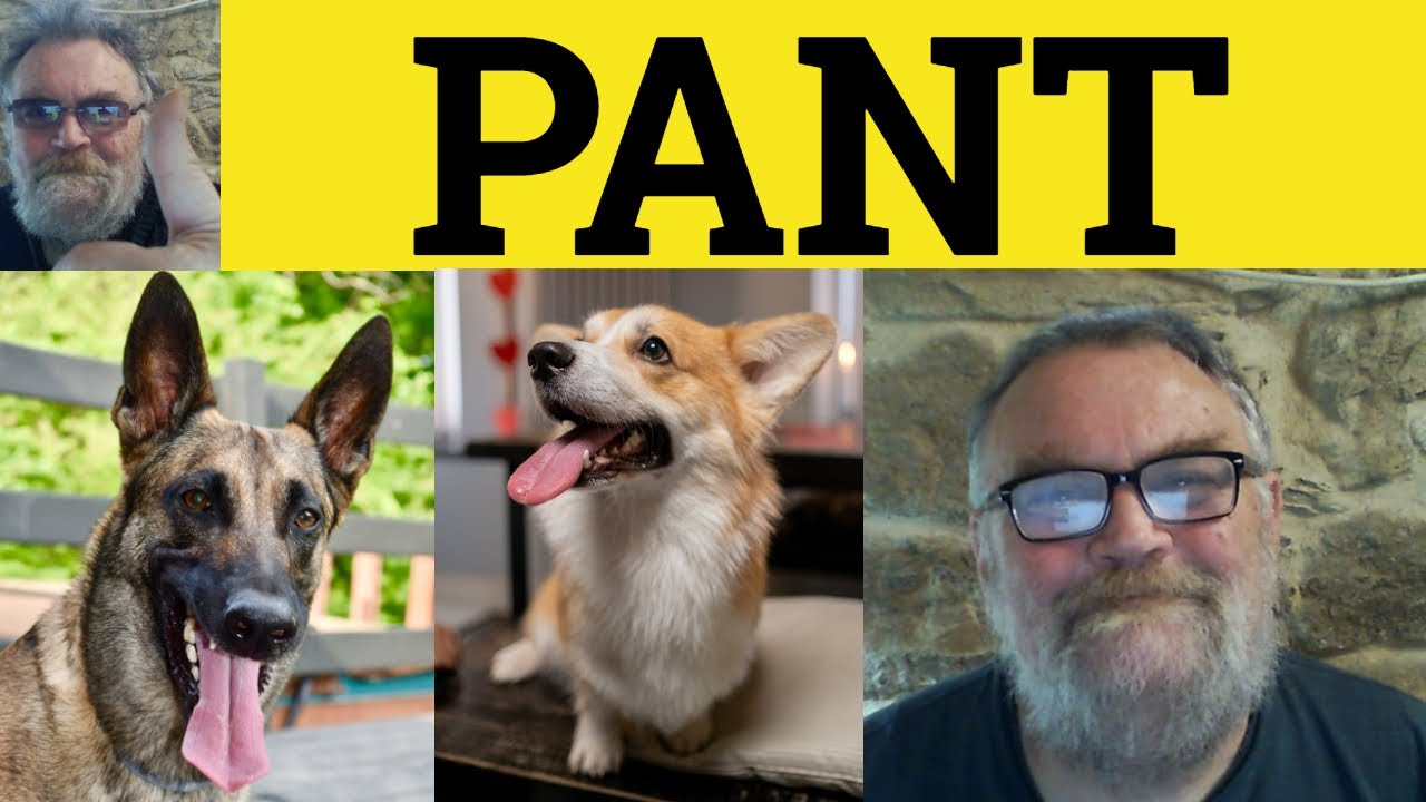 🔵 Pant Meaning - Pants Examples - Pant Defined - IELTS Verbs - Pant