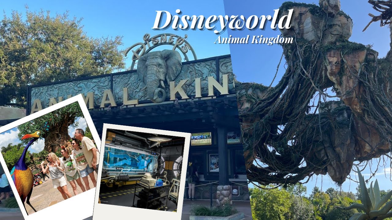 Walt Disney World Orlando Vlog! Animal Kingdom | Avatar | Lion King | Safari