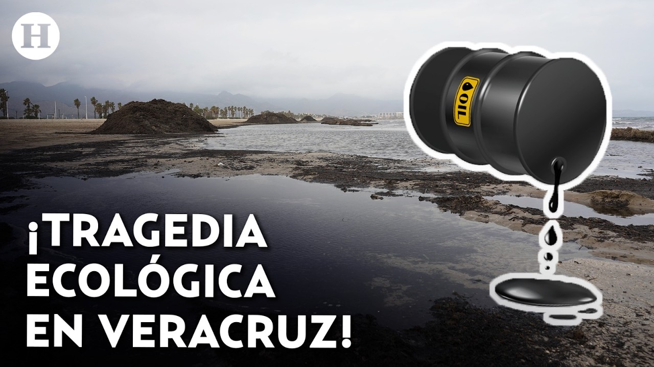 &iexcl;Peces, tortugas y delfines muertos! Veracruz sufre derrame de petr&oacute;leo tras incidente en Dos Bocas