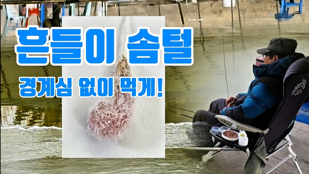 흔들이 솜털. 경계심 없이 먹게!