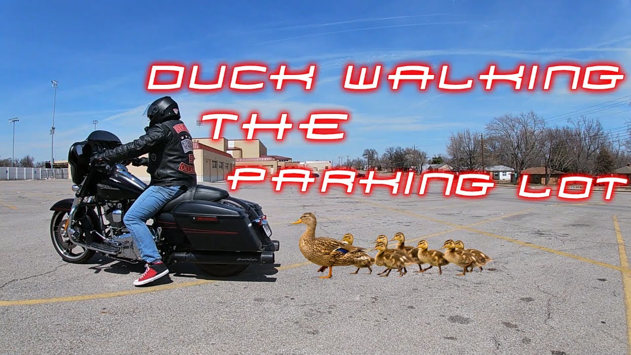 How to Ride a Motorcycle | Part 2 Friction Zone and Braking