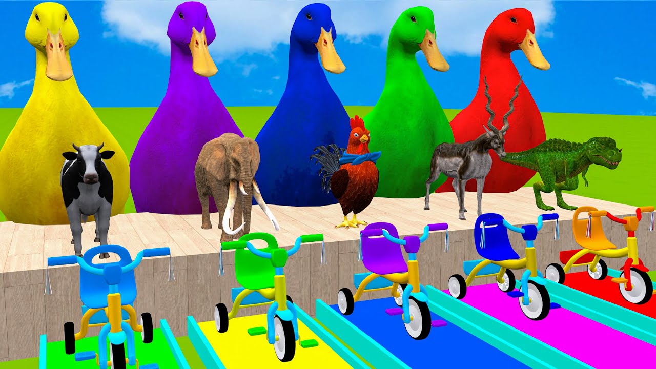 Long Slide Game With Cow Elephant Gorilla Hippopotamus Tiger 3d Animal Game Funny 3d Animals