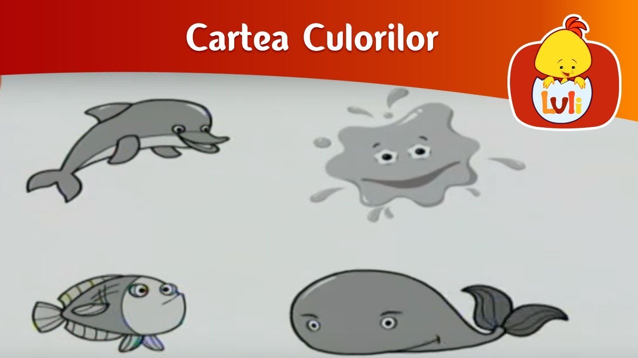 Cartea Culorilor - Gri, albastru, roșu, pentru copii - Luli TV