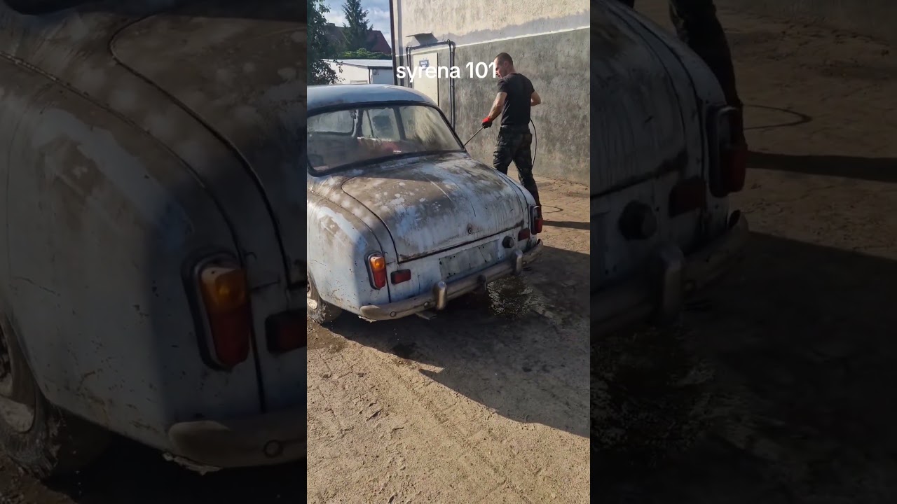 syrena 101