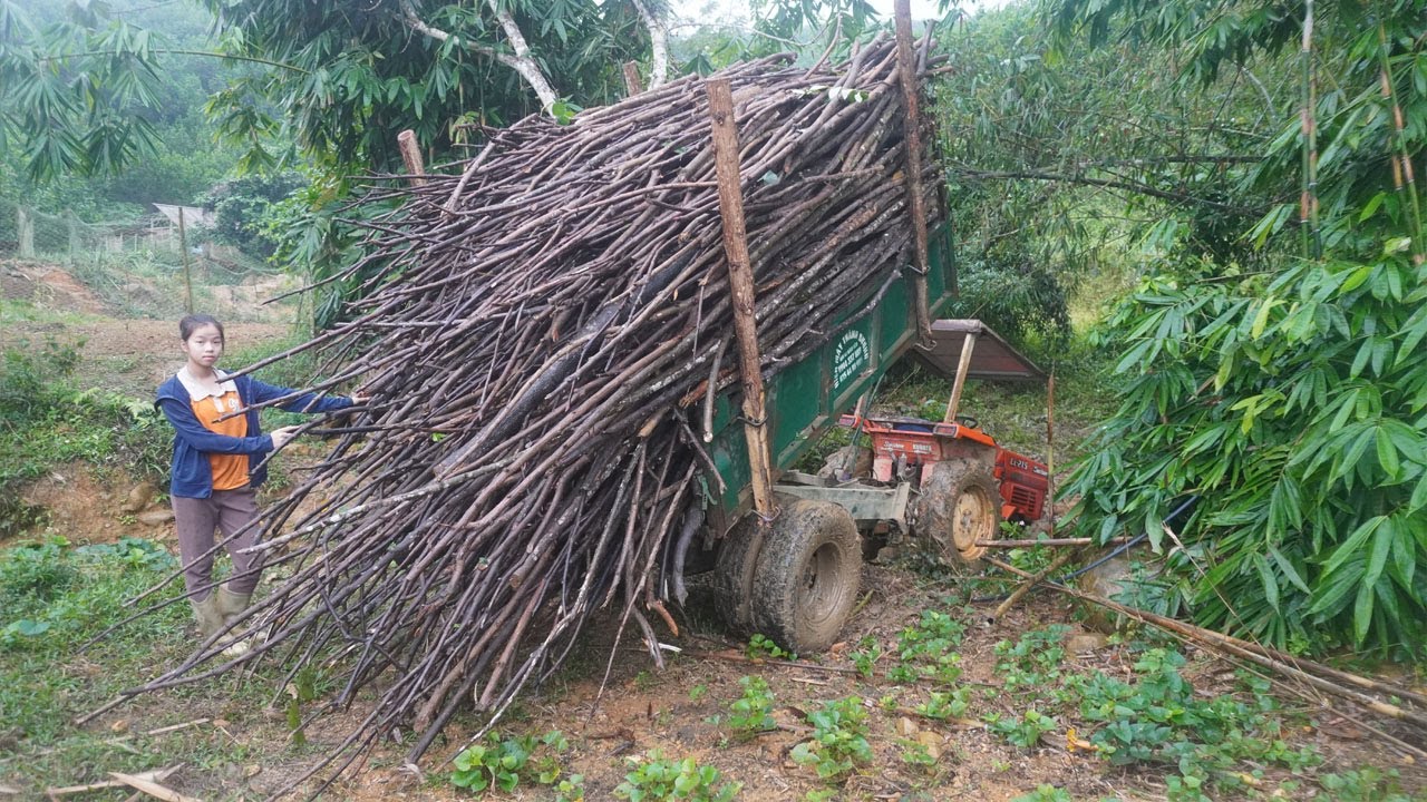 Farm life: Transport firewood to store coal for winter - Alone living in the forest