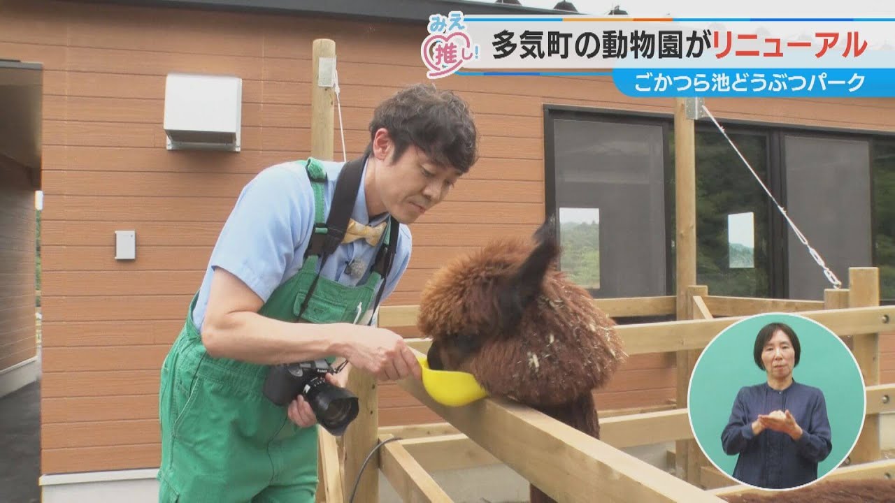 多気町の動物園がリニューアル ごかつら池どうぶつパーク（2024/7/17放送「よしお兄さんのみえ推し！」より）