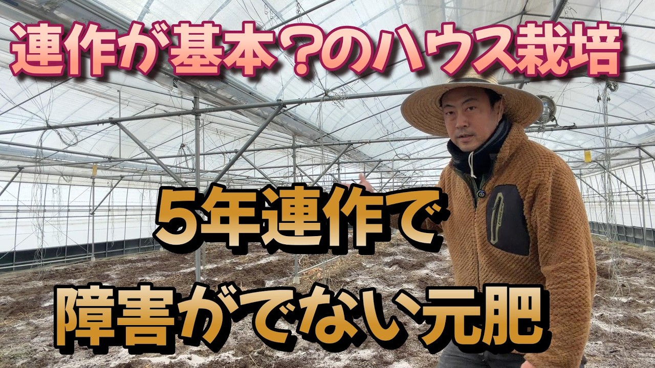 野菜の連作障害を軽減する元肥と対応策