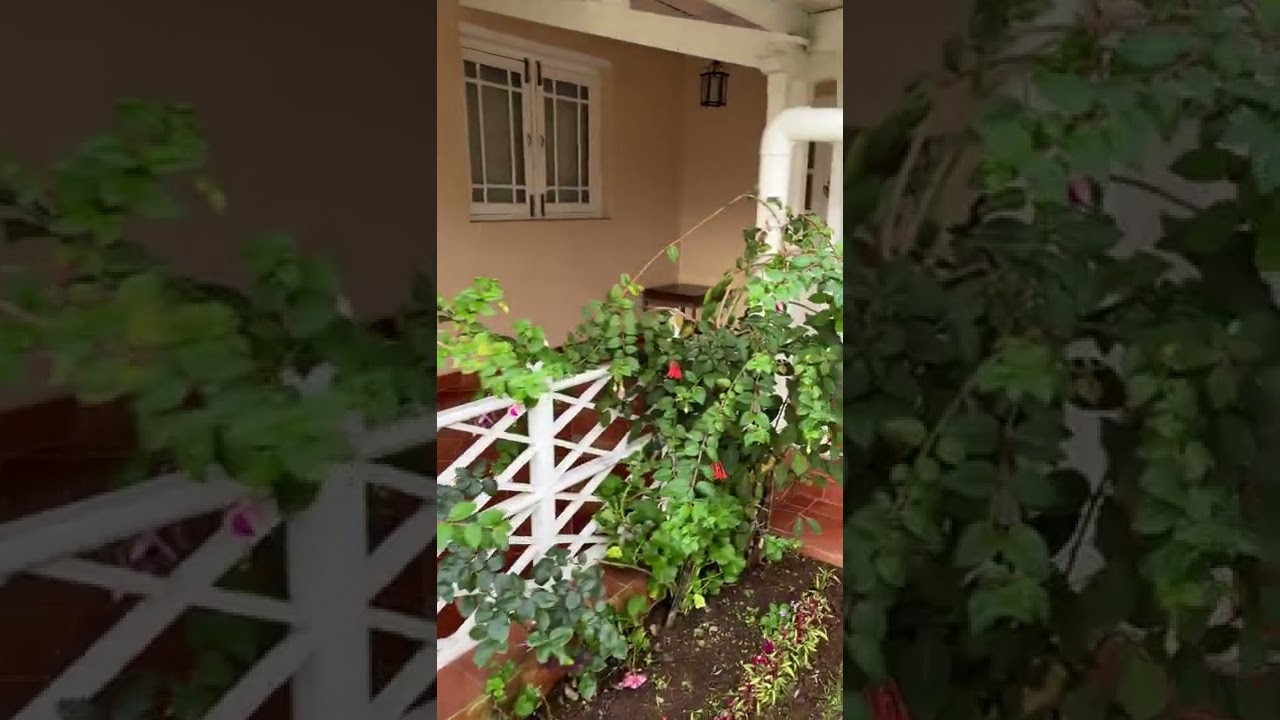 Club mahindra Ooty - Danish Villa