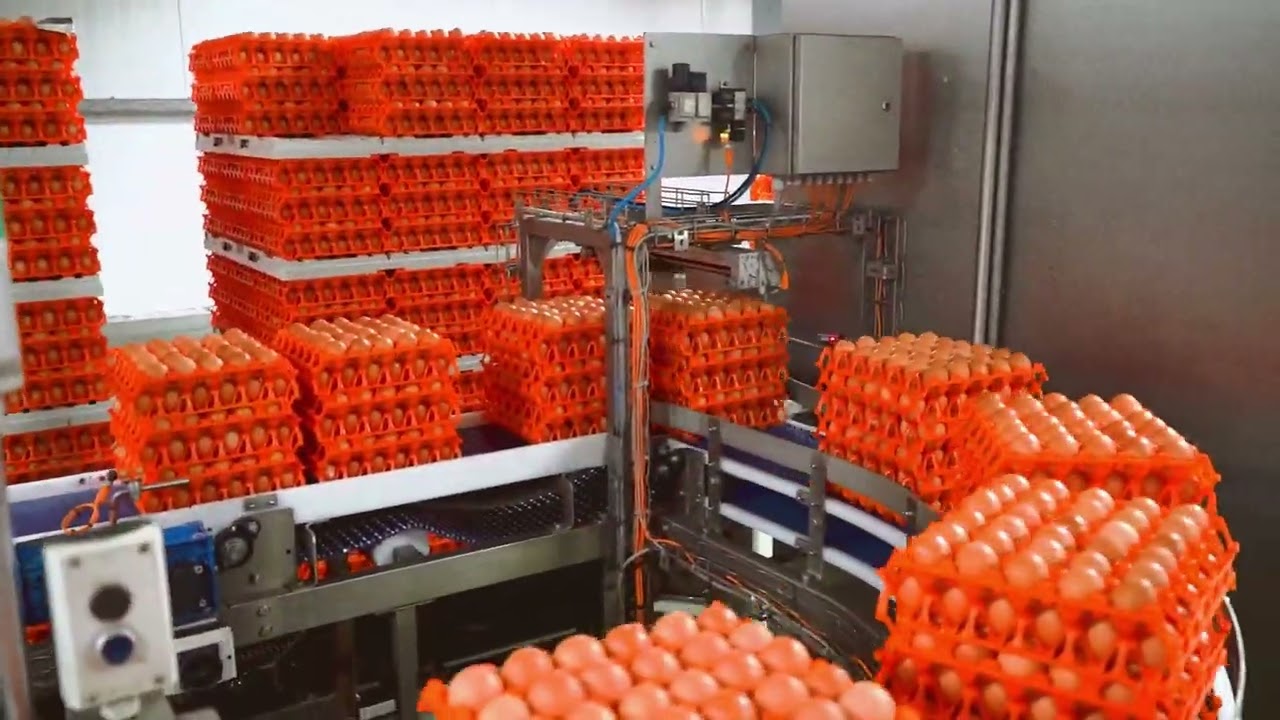 Elsto Smart Solutions | Case | Skea Egg