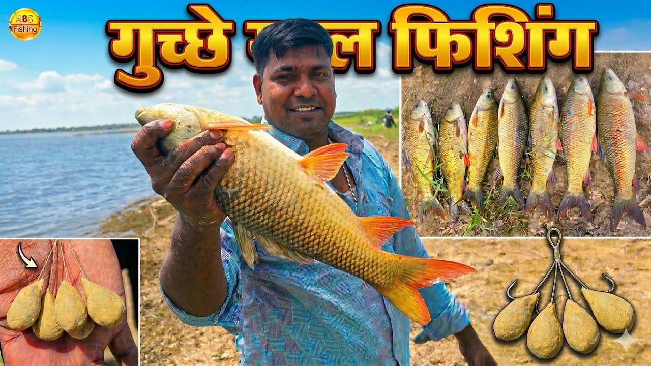 Fishing Videos | Gucha Fishing Techniques | Hook Fishing | Fishing Vlogger | Fish Catching Videos