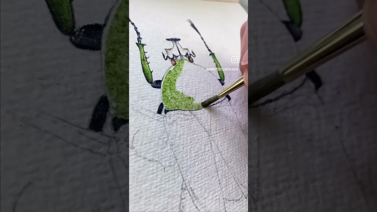 Iridescence in Watercolor #shiny #iridescent #watercolor #watercolour #insects #howtopaint #arttips