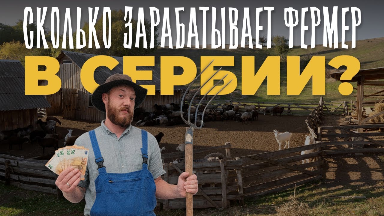 Можно ли заработать НА ФЕРМЕ В СЕРБИИ? Вся правда!