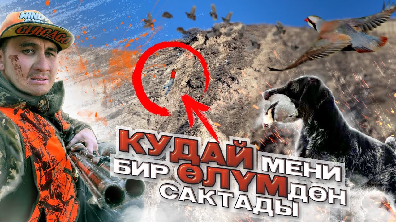 ЫСЫК-АТАдагы АНЧЫЛЫК / КЕКИЛИК / ТУЮК
