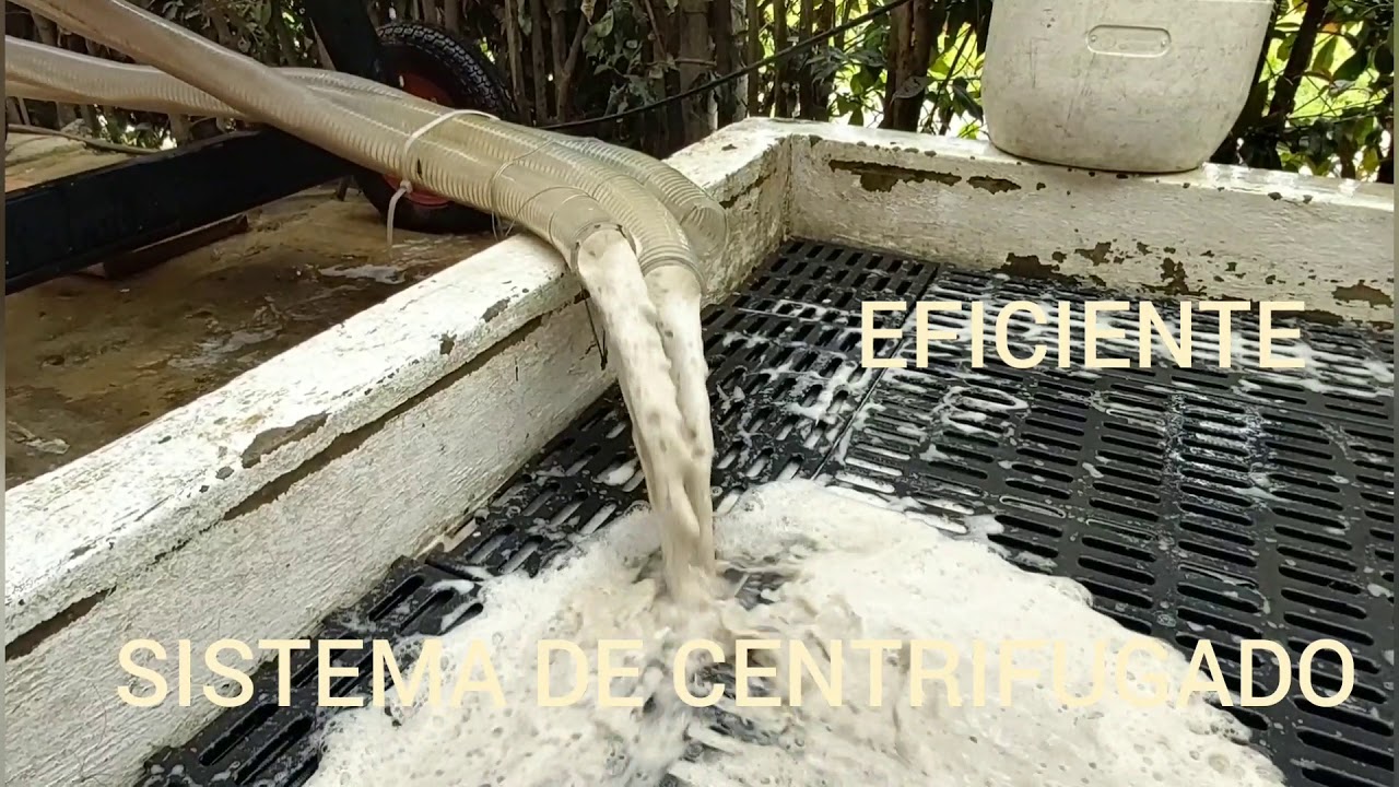 TAPETES Y ALFOMBRAS COMO NUEVOS, LAVADO 100% PROFESIONAL,MODERNO EQUIPO DE CENTRIFUGADO