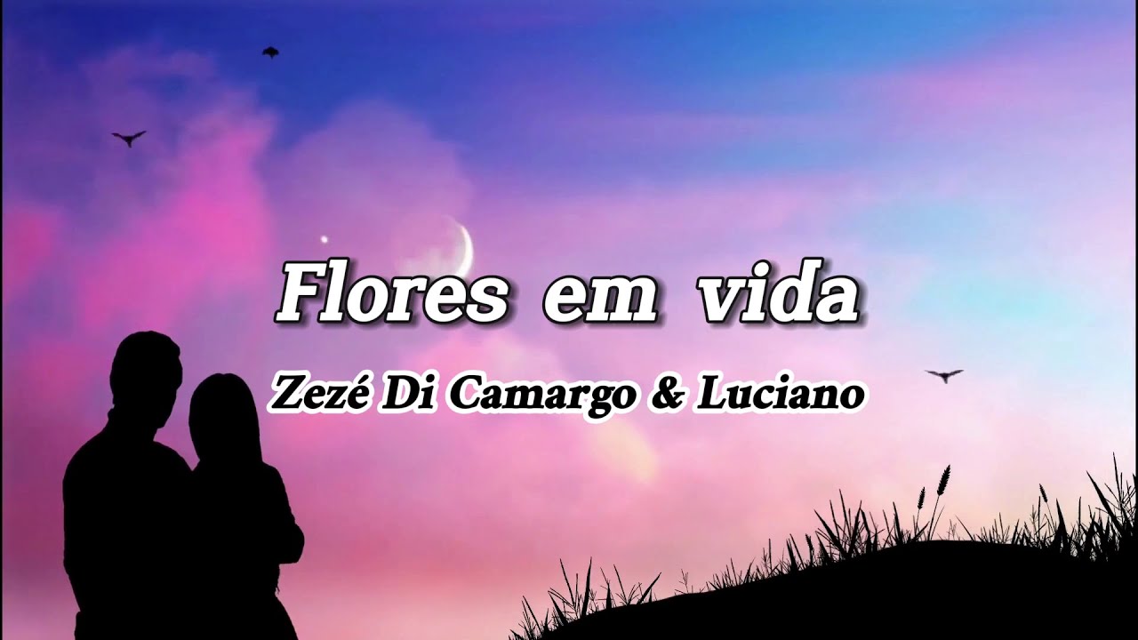 Zez&eacute; Di Camargo e Luciano - Flores em vida (Letra)