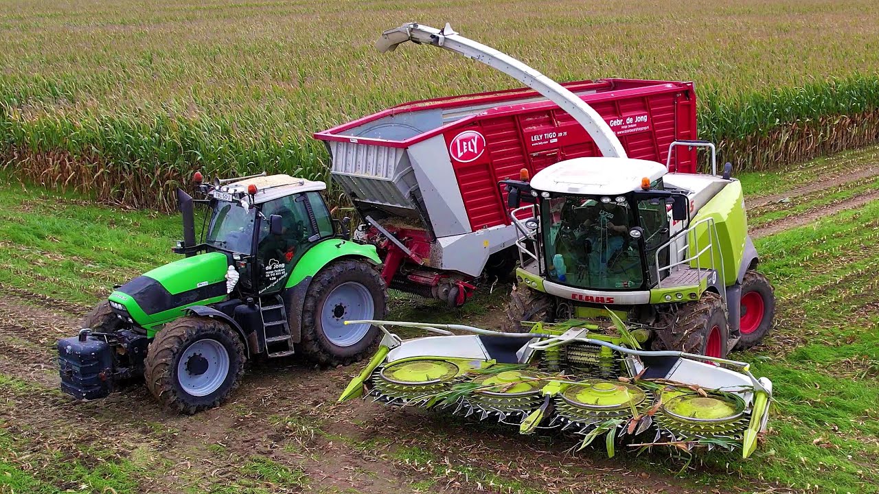 Mais hakselen | Chopping corn | Maishäckseln | CLAAS | Deutz-Fahr | Joskin | Lely | Maisseizoen 2023