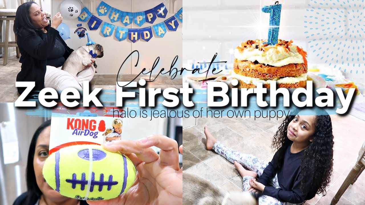 Celebrate Zeek First BIRTHDAY! + Puppy Supply Haul + Raisinghalo